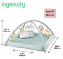 INGENUITY CALM SPRINGS PLUSH ACTIVITY GYM BABY ULTRA-SOFT PREMIUM MAT - GREEN - Like New