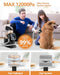 IDEATOY DOG GROOMING VACUUM 3L LARGE CANISTER DOG VACUUM FOR SHEDDING - BLACK - Brand New
