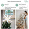 ELF LOGIC LARGE 12” EASY ASSEMBLY WARM WHITE LED ELF-FOLD MORAVIAN STAR - WHITE - Like New