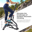 Sunny Health & Fitness Extended Stride Climbing Stair Stepper w/Handlebar - Like New