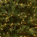 NATIONAL TREE COMPANY PRE-LIT CHRISTMAS TREE, 6 FEET - GREEN - Like New