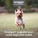 NUTRAMAX COSQUIN JOINT HEALTH SOFT CHEWS 45 COUNT, CQOMSC45-MSMM - Brand New
