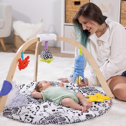 MELISSA & DOUG OCEAN WOODEN PLAY GYM EASY-FOLD ACTIVITY CENTER MULTI COLOR - Like New