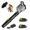 Steelite Leaf Blower Cordless with 2 Battery and Charger 20V Electric - Green - Like New