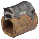 DESIGN TOSCANO RAIDER THE RACCOON GUTTER GUARDIAN QM13071 - GRAY AND BROWN - Like New
