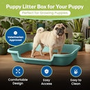 PuppyGoHere Large Dog Indoor Litter Box Up to 20 Lbs, Apple Green - Brand New