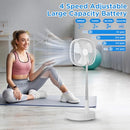 MAGESH PORTABLE OSCILLATING PEDESTAL FAN REMOTE 120° ROTATION M1Y - GRAY - Like New