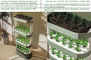 Lyfreen Hydroponics Growing System Hydroponic Tower with LED Grow Light - Like New