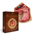 Genius Games Human Abdomen Anatomy Jigsaw Puzzle Dr Livingston's Unique Shaped - Brand New