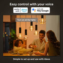 PHILIPS HUE LIGHTGUIDE ELLIPSE SMART LED BULB HANDBLOWN GLASS 577460 - WHITE - Like New