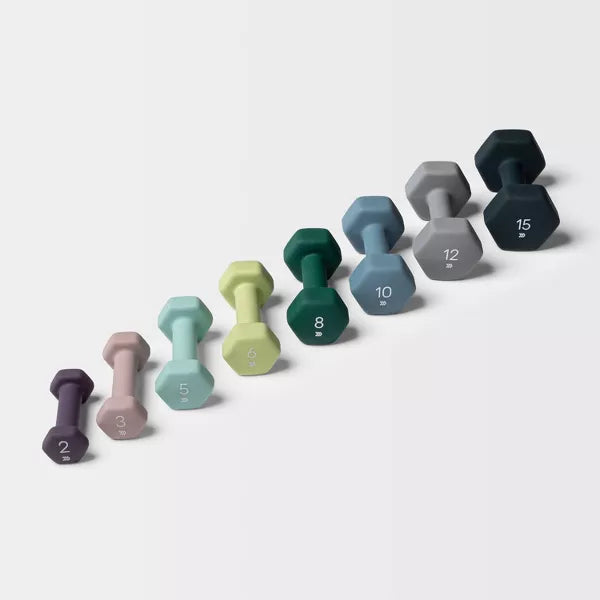 ALL IN MOTION DUMBBELL 3LBS PVC COATED, IRON FILLED, ARM WORKOUT - LILAC - Like New