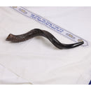 HALLELUYAH 22"-24" YEMENITE KUDU SHOFAR - NATURAL - Brand New