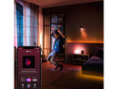 Philips Hue 7602031 Go Portable Light (latest model)