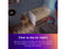 Roku Indoor Camera, 1080p HD video & color night vision, Wired Camera, White,