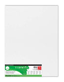 Simply Stretch Canvas 18X24 2P B00BAXRRGQ - White - Brand New