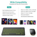 TECURS BLUETOOTH KEYBOARD AND MOUSE COMBO FOR IPAD RECHARGEABLE - BLACK - Like New