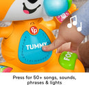 Fisher-Price Baby Learning Toy Link Squad Bop & Groove Tiger Music & Lights - Brand New