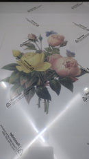 MJ 16x20 Black Frame - Rosa Lutea & Rosa Indica Botanical - Brand New