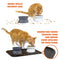 Kitty City Raised Cat Bowl Collection/Stress Free Pet Feeder/Waterer - Gray - Brand New