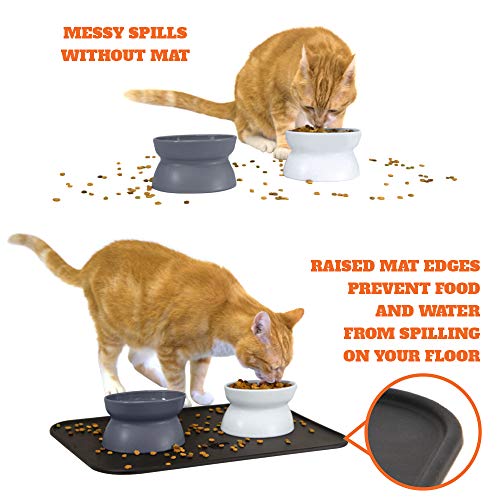 Kitty City Raised Cat Bowl Collection/Stress Free Pet Feeder/Waterer - Gray - Brand New