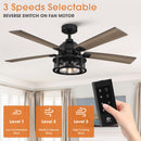 PARROT UNCLE 52" LUCKNOW INDUSTRIAL BLACK REVERSIBLE CEILING FAN WITH LIGHTING - Like New
