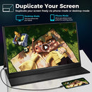 HAMTYSAN PORTABLE MONITOR 15.6" FHD 1080P HDMI EXTERNAL MONITOR - BLACK - Like New