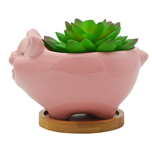 CUTEFORYOU ANIMAL PIG SHAPED CERAMIC CACTUS FLOWER PLANTERS WITH BAMBOO TRAY- Like New