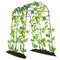 Lalahoni Garden Arch Trellis 7 ft Tall Walkway Metal Archway Arbor - BLACK - Like New