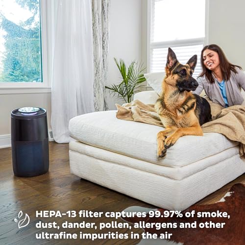 Instant HEPA Quiet Air Purifier From the Makers of Instant Pot Like New