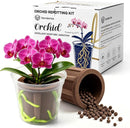 HERDEMIA ORCHID POTTING MIX FOR REPOTTING 5.7IN ORCHID SOIL REPOTTING KIT - Brand New