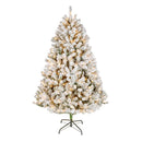 NATIONAL TREE COMPANY 6FT PRE-LIT FLOCKED ACACIA ARTIFICIAL - Scratch & Dent