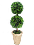 TRADINGSMITH PRESERVED BOXWOOD 20" DOUBLE BALL TOPIARY - Brand New