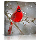 Red Cardinal Bird Giclee Artwork Framed Prints Fall Season 8x8inch - Brand New