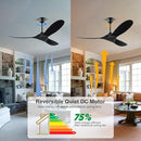 HYSZL 70 Inch Large Ceiling Fan without Light High Cfm Quiet Dc Ceiling Fan - Brand New