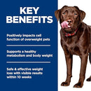 Hill's Science Diet Perfect Weight Large Breed Dry Dog Food B0C12VQF8Q NEW - Brand New