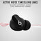 Beats Studio Buds Totally Wireless Noise Cancelling Earphones - Black New