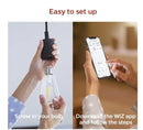 PHILIPS SMART WI-FI WIZ COLOR LIGHT STRIP 6.5FT (2M) STARTER KIT 25249 - WHITE - Brand New