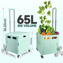 KOLHOFFR Honshine Foldable Cart, Stair Climbing Wheels, Light Green - Like New