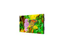 NEC UN552S 55" Ultra Narrow Bezel Full HD Video Wall Display with Internal Media