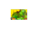 NEC UN552S 55" Ultra Narrow Bezel Full HD Video Wall Display with Internal Media