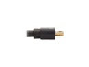 Tripp Lite P582-010-4K6AE 10 ft. DisplayPort 1.2a to HDMI 2.0 Active Adapter