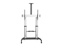 Mobile TV Stand, Heavy Duty TV Cart for 60-100" Display (100kg/220lb), Height