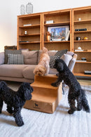 NOAH & PAW DOG STAIRS, DOG RAMP FOR BED (21" EXTRA WIDE) - - Scratch & Dent