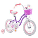 RoyalBaby Girls Bike Classic & EZ Kids Bike Balance and Pedal Bicycle - Amethyst - Like New