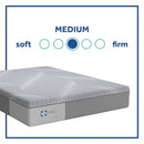 SEALY 12-IN MEDIUM KING MEMORY FOAM MATTRESS IN A BOX - GRAY - Brand New