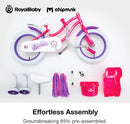 ROYALBABY CHIPMUNK KIDS BIKE TODDLERS 14 INCH WHEEL BICYCLE - GEMSTONE PURPLE - Like New