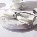BUCLA 100 Pieces Silver Plastic Plates 10.25" Silver Rim Disposable - Silver - Brand New