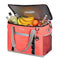 MAELSTROM COLLAPSIBLE SOFT COOLER BAG, 75 CANS BEACH COOLER - WATERMELON - Like New
