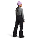 THE NORTH FACE WOMEN’S FREEDOM STRETCH PANTS, LARGE - BLACK - Brand New