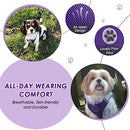 Lukovee Dog Safety Vest Harness with Seatbelt, Adjustable (Medium, Purple) - Like New